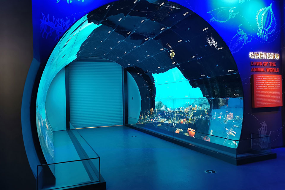 澄江化石地自然博物館-OLED隧道
